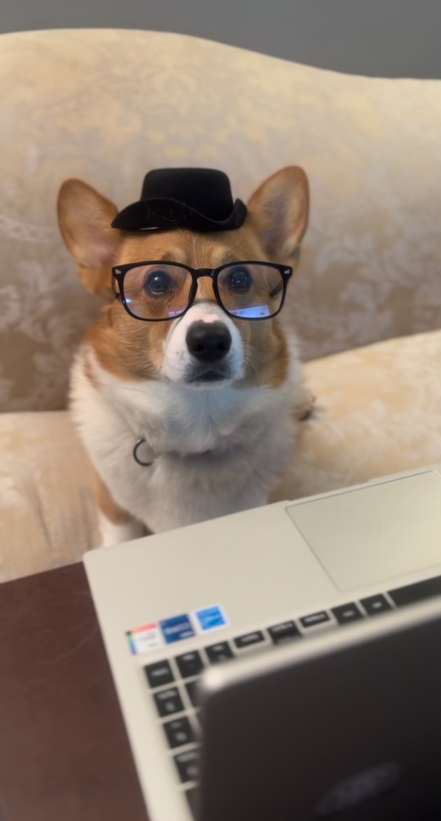 Rocko by a laptop wearing glasses and a hat