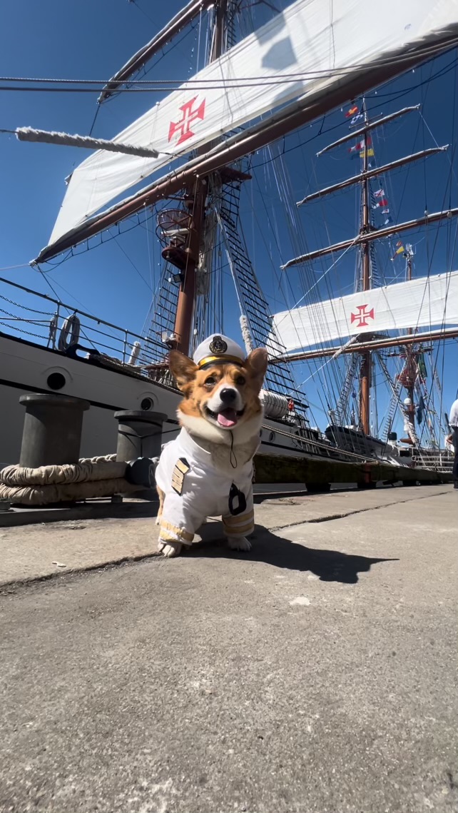 Rocko in captain outfit in front of a tall ship