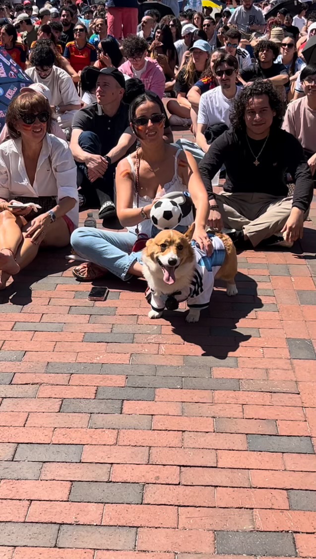 Rocko in front of the World Cup watch-party crowd